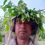 用户5386802373034头像