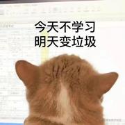 一颗花椒粒儿的个人资料头像