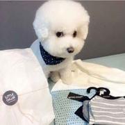 zzzz爱吃鱼的个人资料头像