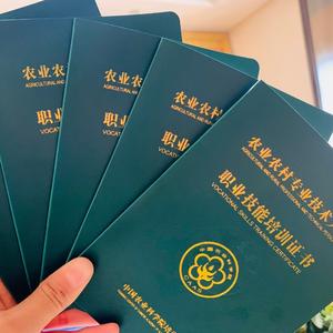 览讯教育小恩老师头像