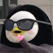 yasuo的个人资料头像