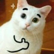 中原大虾的个人资料头像