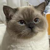 非云615头像