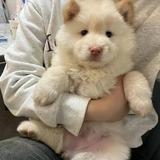 用户5695996817803头像