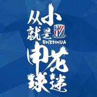 申花就是冠军头像