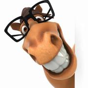 易明637的个人资料头像