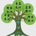 找寻初心春暖花开头像