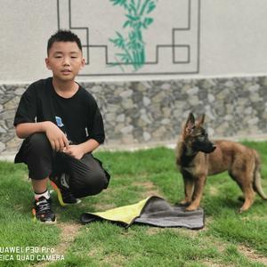 田园犬舍海波头像