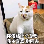 qq43的个人资料头像