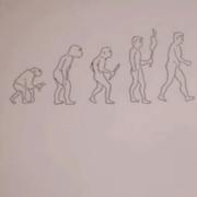 安多芬的个人资料头像