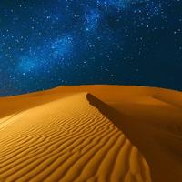 你咬过的苹果头像