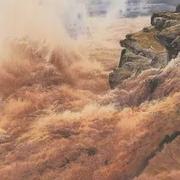 刘里卡土星的个人资料头像