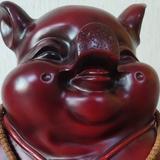 tuochendichan头像