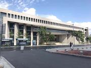 前端小菜鸟ovo的个人资料头像