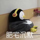 小镇里的小星星头像