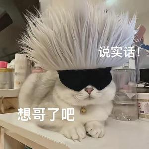 不叫大栗子头像