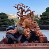 木槿星宸头像