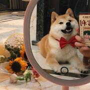 QAQ686的个人资料头像