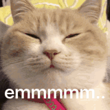 zhimazz的个人资料头像