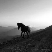 李特leet的个人资料头像
