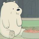 灰熊哦哦的个人资料头像