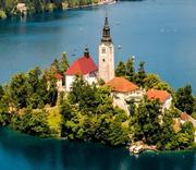 板利园的小猫的个人资料头像