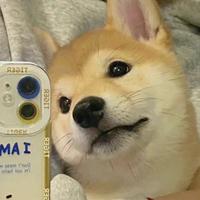 用户2951264436476头像