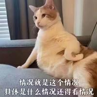 抱歉我迟到了头像