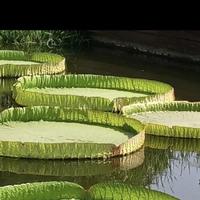 快乐的海浪xt头像