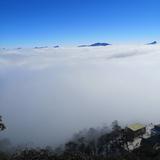 唯一83260头像
