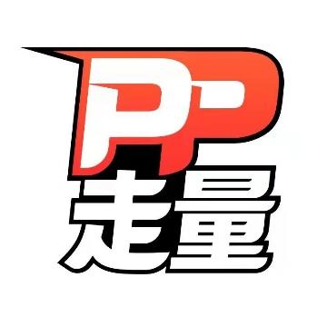 PP走量官方头像