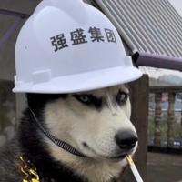 黑桃A8688头像
