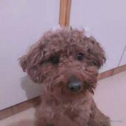 厦下的个人资料头像