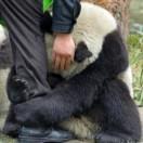 theone爱学习的个人资料头像