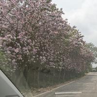 用户1771066757412头像