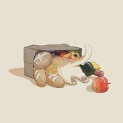 Alice881的个人资料头像