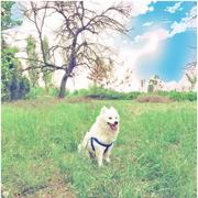 Miller同学的个人资料头像