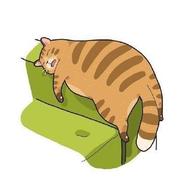 回到过去变成猫的个人资料头像