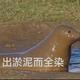 用户9831210501474头像