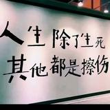 董世奇991头像