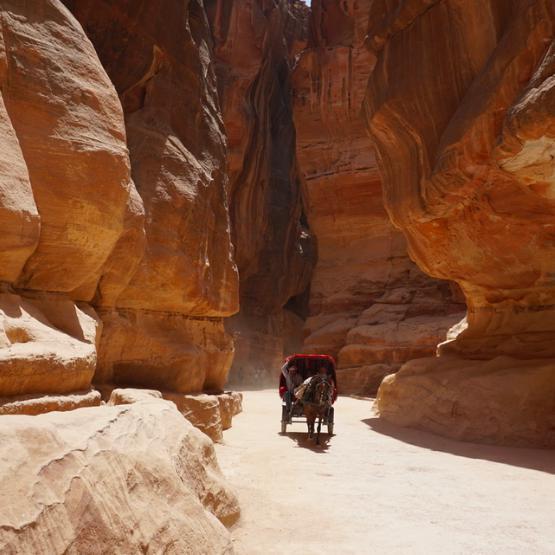 车天车地扯大炮头像