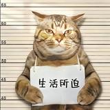 用笑掩饰痛2393头像
