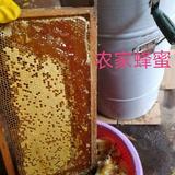 谢思红635头像