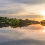 正能量豆浆vRF头像