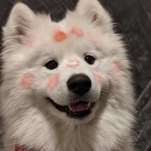 你无敌了真的头像