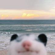 繁忙中的个人资料头像