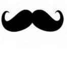 VirgoZ的个人资料头像