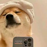 哈喽先生头像