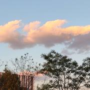 tianweixing的个人资料头像