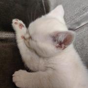 用户6310743513773的个人资料头像